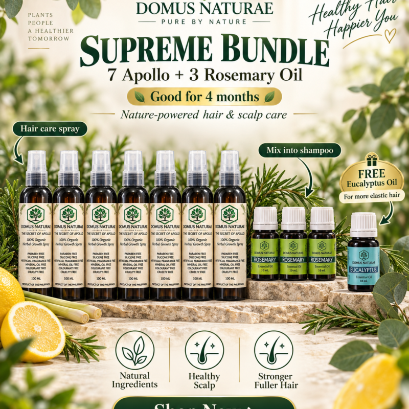 Supreme Bundle (7 SA + 3 REO + 1 EuEO) Good for 3 Months