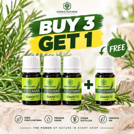 DOMUS_ROSEMARY_BUY3_GET1_under_2MB